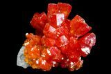 Vibrant Red Vanadinite Crystal Cluster - Arizona #69197-1